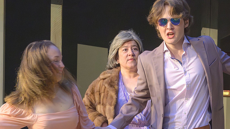Der Besuch der alten Dame