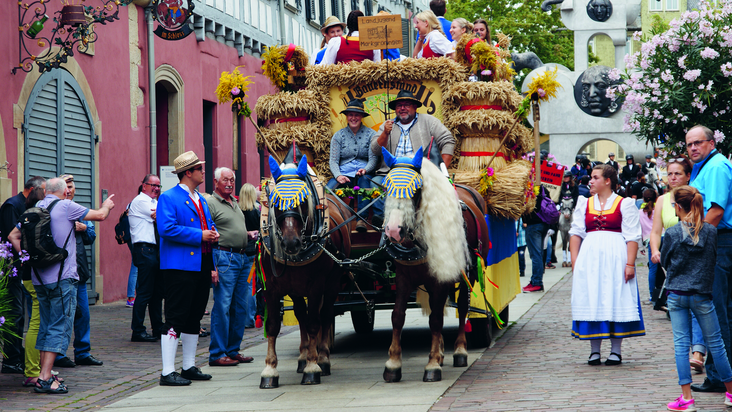 Bietigheimer Pferdemarkt