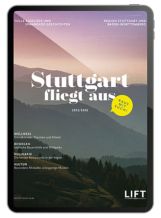 Stuttgart fliegt aus 2025/26 (E-Paper)