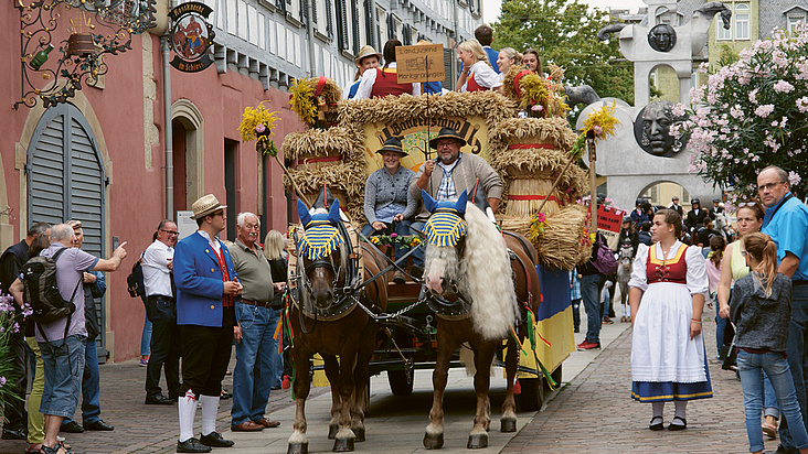 Bietigheimer Pferdemarkt