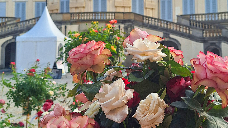 Home & Garden